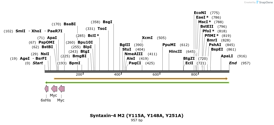 66267_map