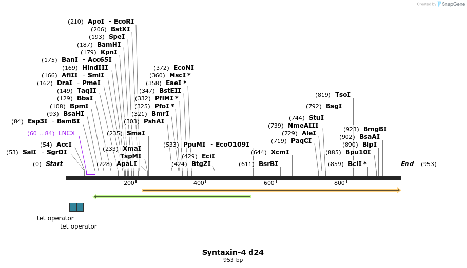 66273_map