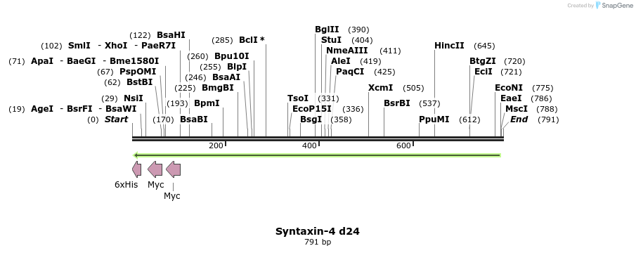 66275_map