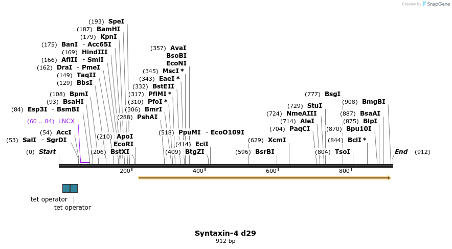 66276_map