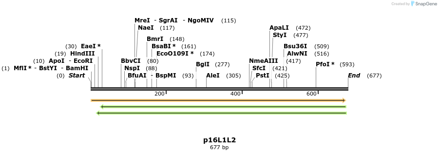 66277_map