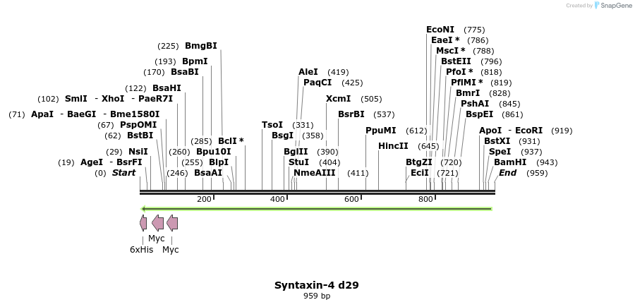 66278_map