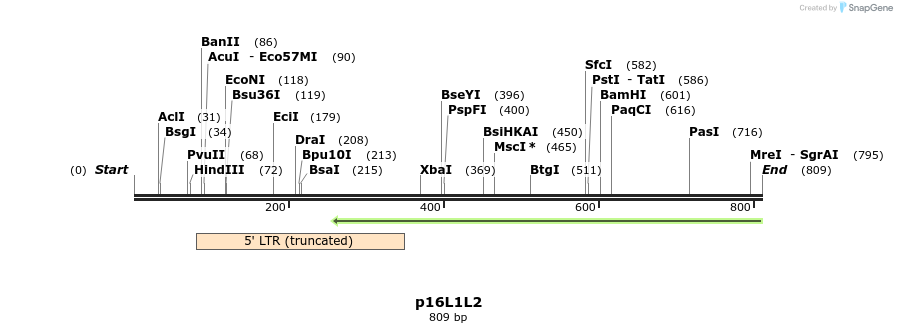 66279_map