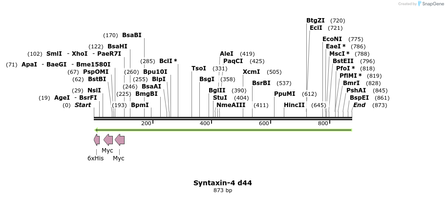 66281_map