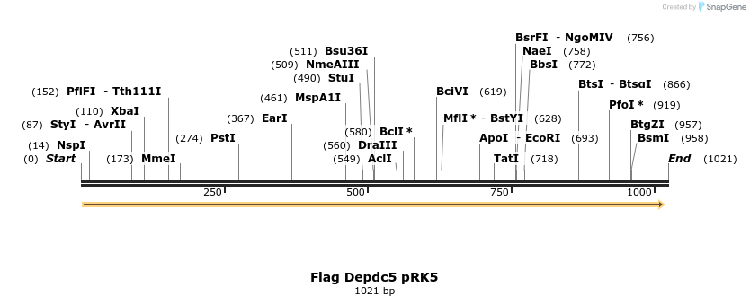 66283_map