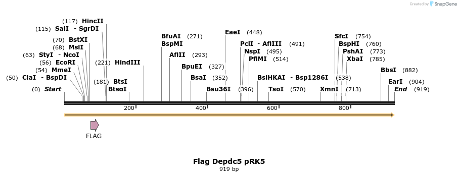 66284_map