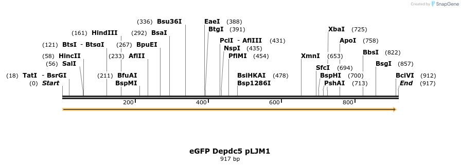 66285_map