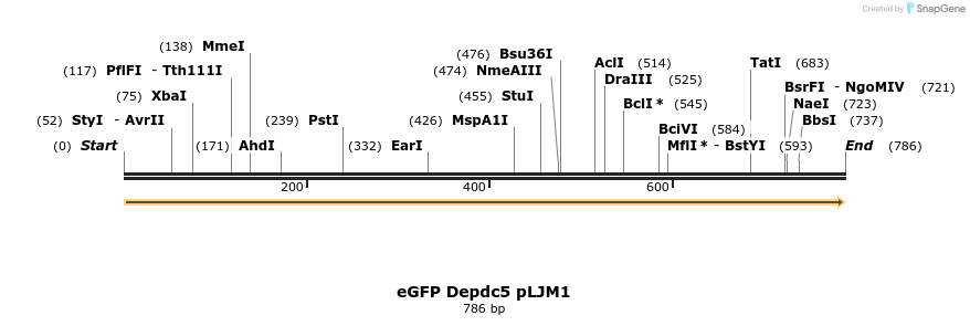 66286_map