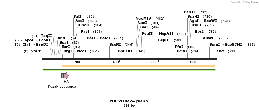 66287_map