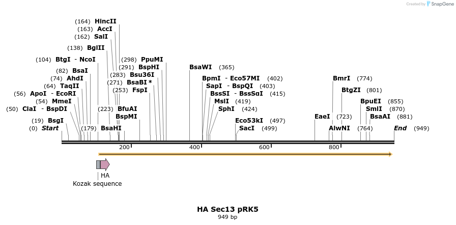 66288_map