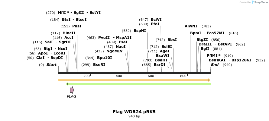 66291_map