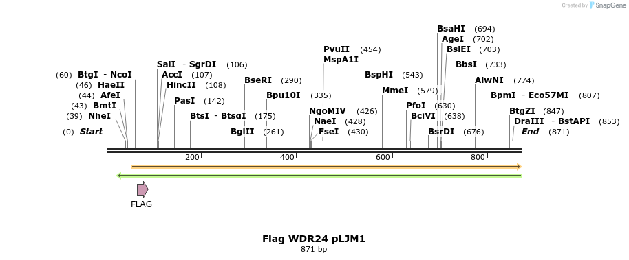 66293_map