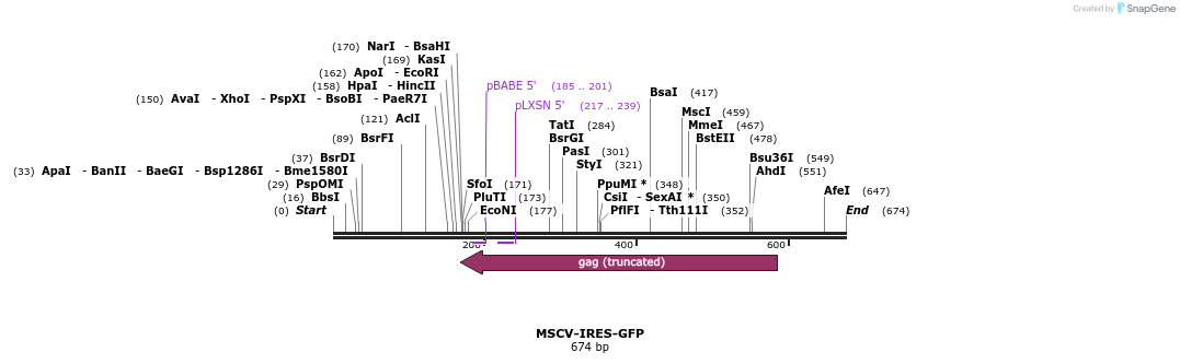 66297_map