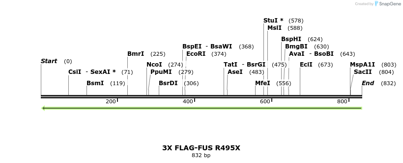 66306_map