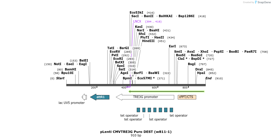 66312_map