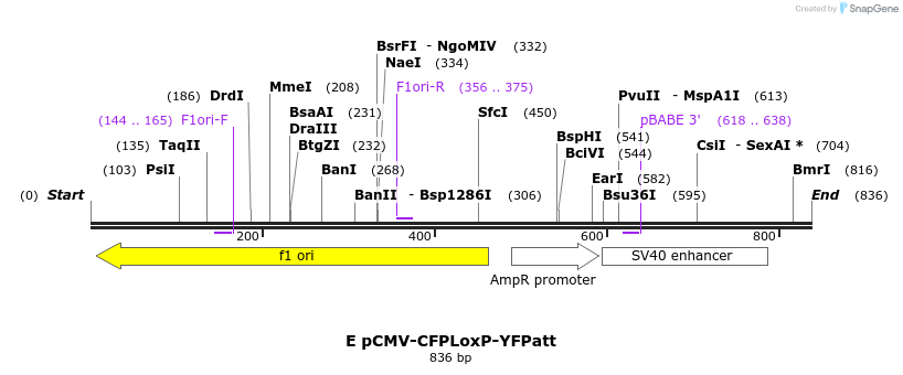 66316_map