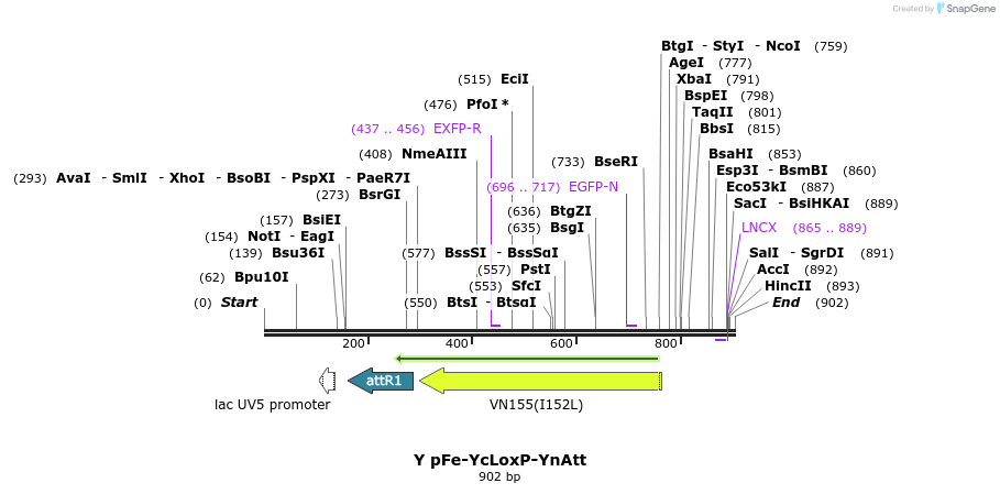 66322_map