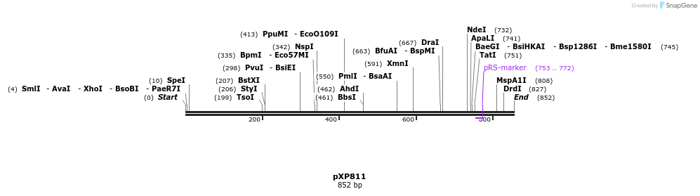 66326_map