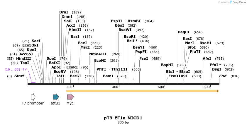 66327_map