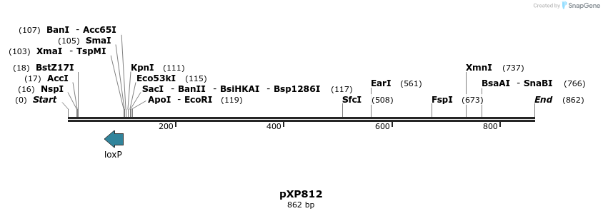 66329_map
