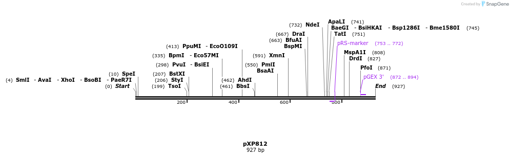 66330_map