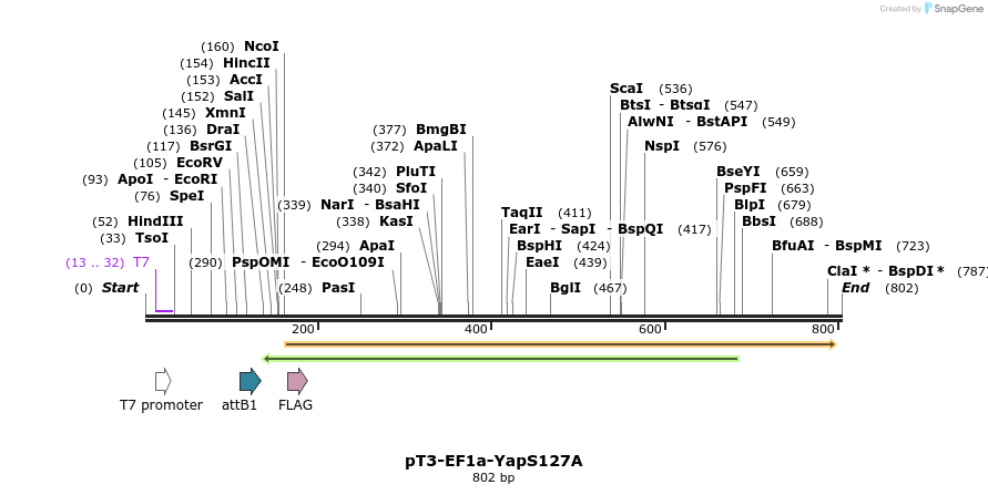 66331_map