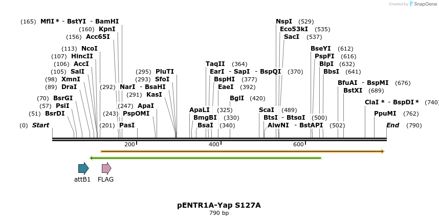 66332_map