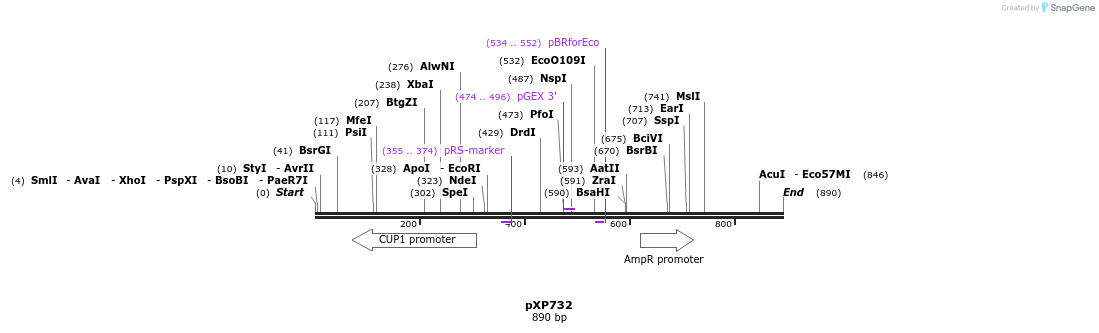 66334_map
