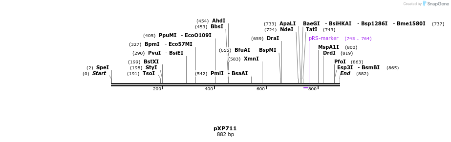 66335_map
