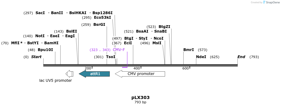66345_map