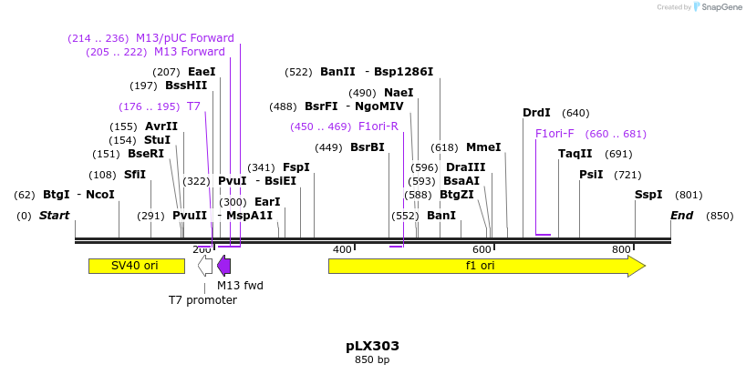 66347_map