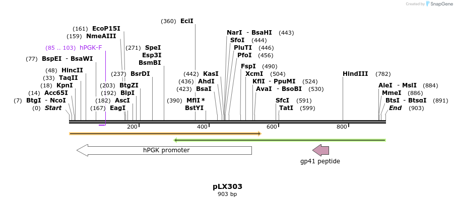 66348_map