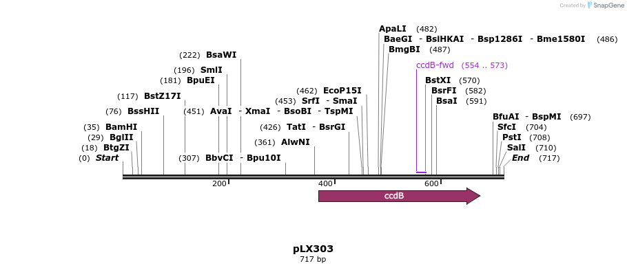 66349_map
