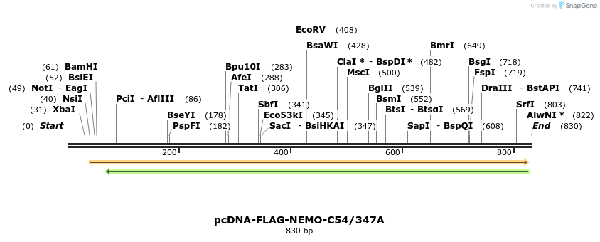 66351_map
