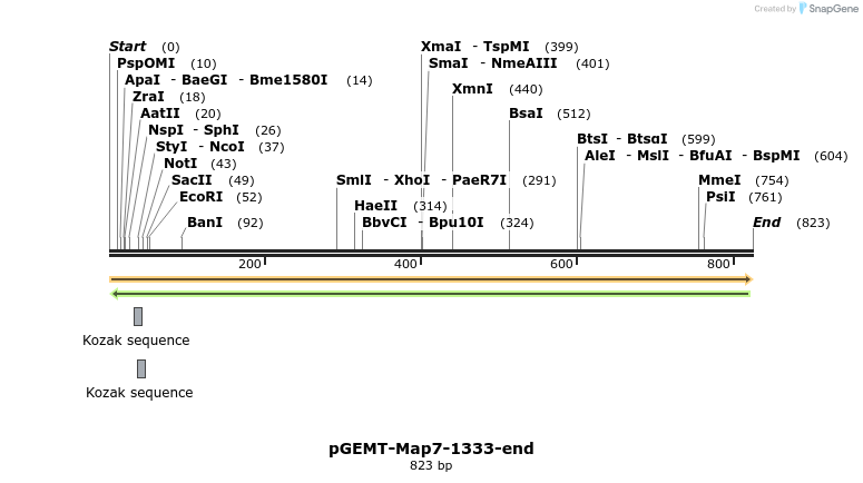 66369_map