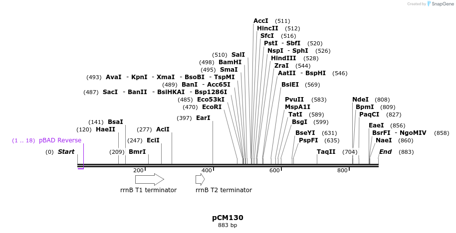66371_map