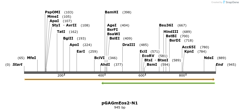 66382_map