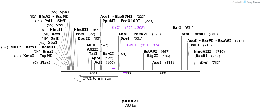 66384_map
