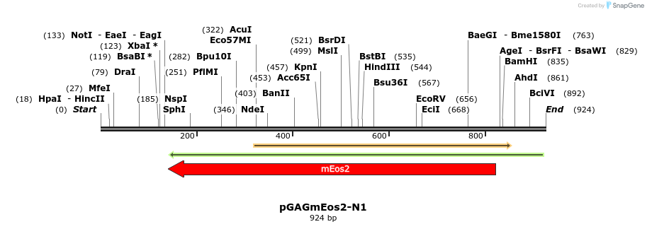 66386_map