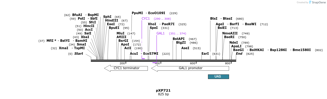 66387_map