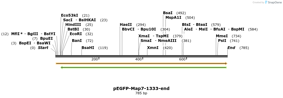 66388_map