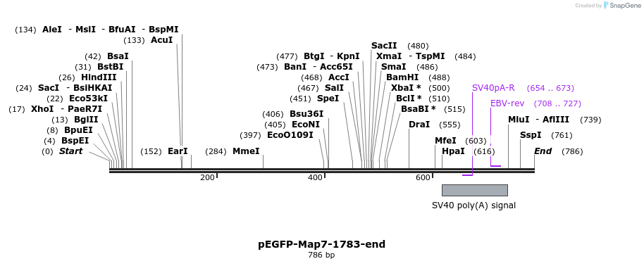 66395_map