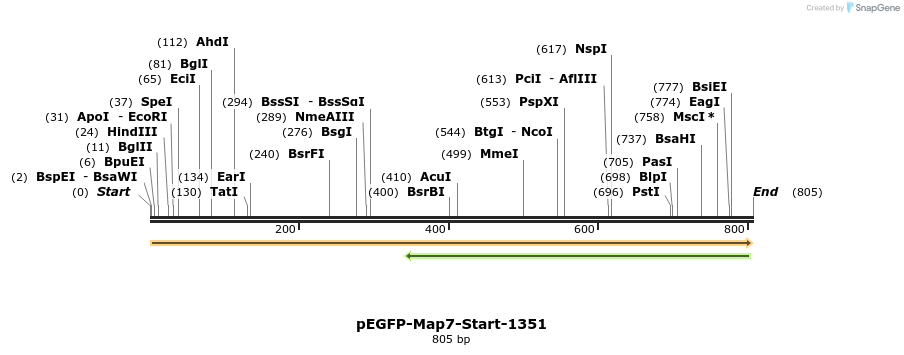 66396_map