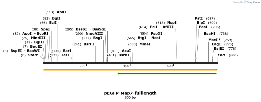 66401_map