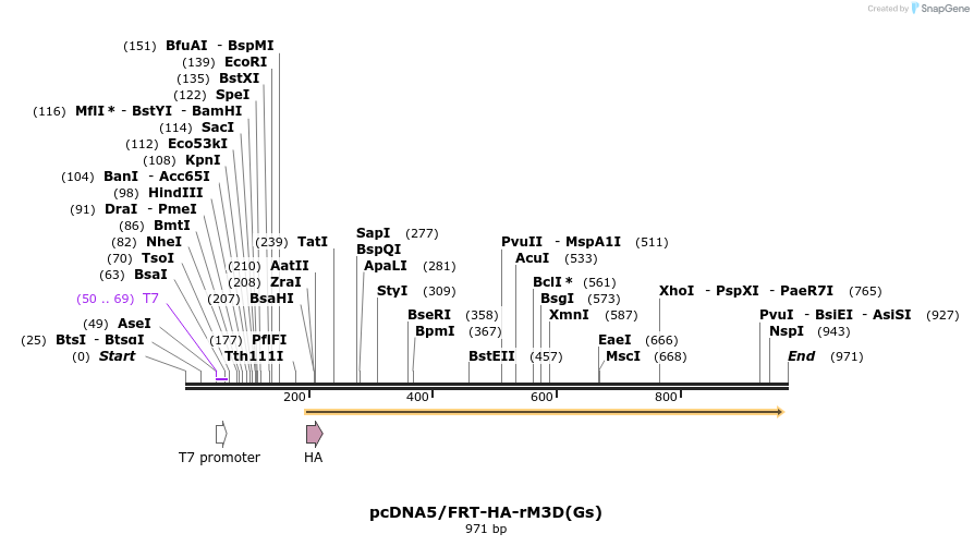 66402_map