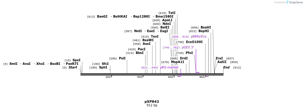 66404_map
