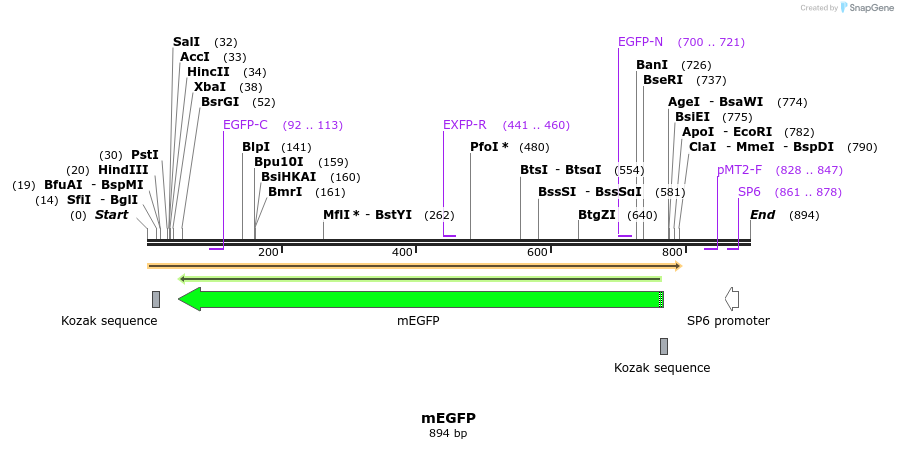 66407_map