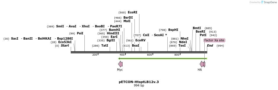 66409_map