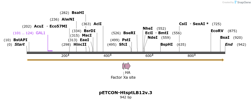 66411_map