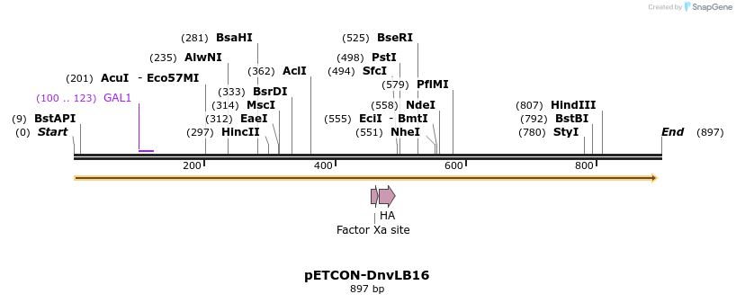 66415_map